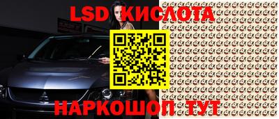 гидра Донецк